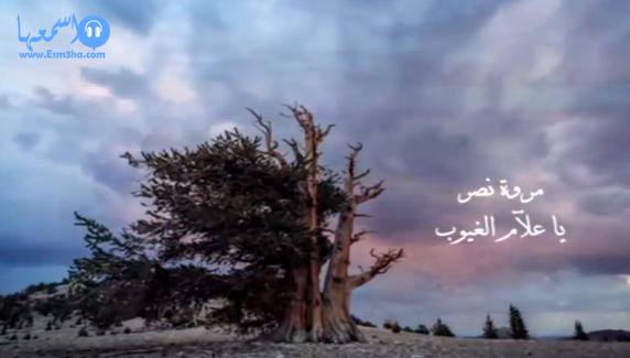كلمات دعاء مروة نصر يا علام الغيوب 2014 كاملة